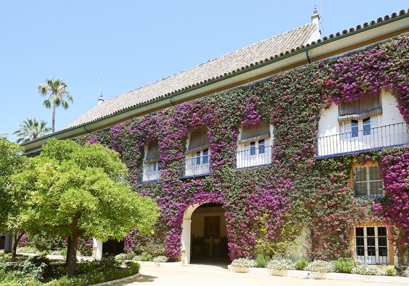 Palacio de las Dueñas